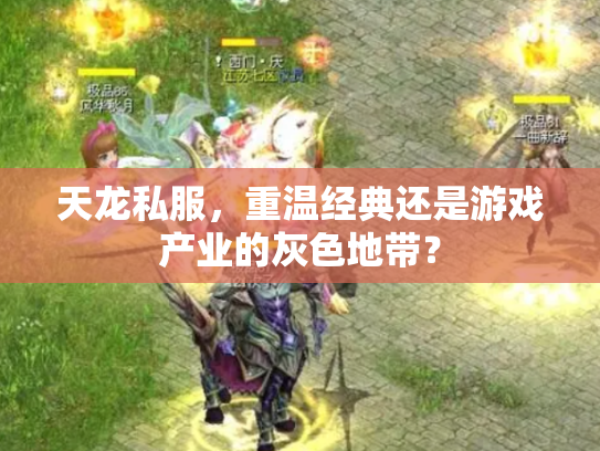 天龙私服，重温经典还是游戏产业的灰色地带？