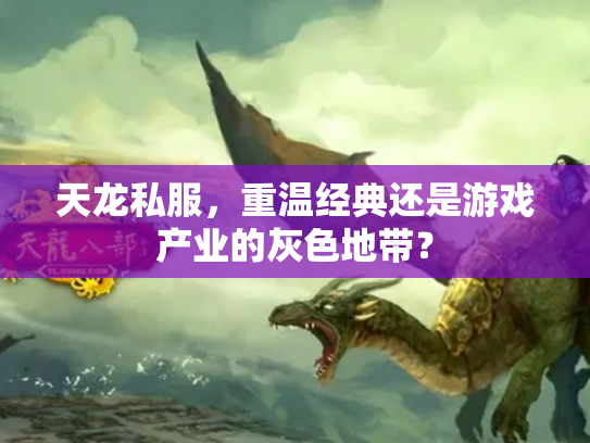天龙私服，重温经典还是游戏产业的灰色地带？