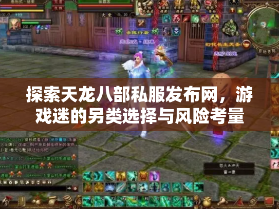探索天龙八部私服发布网，游戏迷的另类选择与风险考量