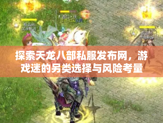 探索天龙八部私服发布网，游戏迷的另类选择与风险考量