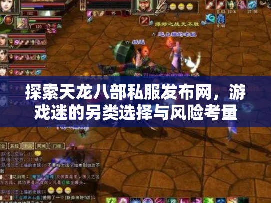 探索天龙八部私服发布网，游戏迷的另类选择与风险考量