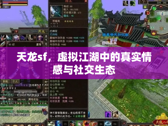 天龙sf，虚拟江湖中的真实情感与社交生态
