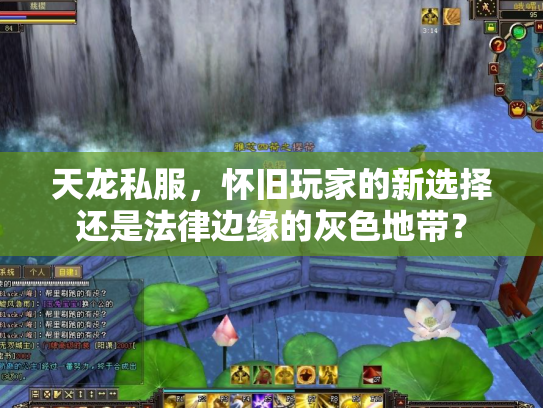 天龙私服，怀旧玩家的新选择还是法律边缘的灰色地带？