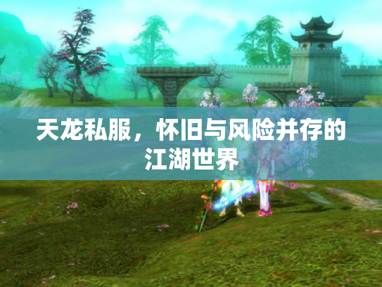 天龙私服，怀旧与风险并存的江湖世界