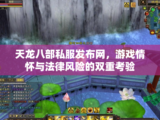 天龙八部私服发布网，游戏情怀与法律风险的双重考验