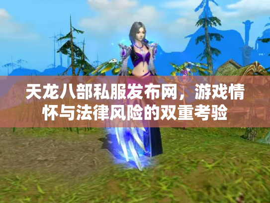天龙八部私服发布网，游戏情怀与法律风险的双重考验