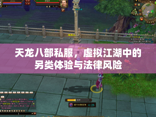 天龙八部私服，虚拟江湖中的另类体验与法律风险