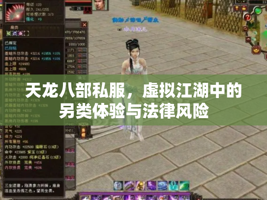 天龙八部私服，虚拟江湖中的另类体验与法律风险
