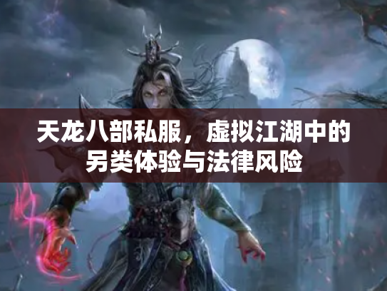 天龙八部私服，虚拟江湖中的另类体验与法律风险
