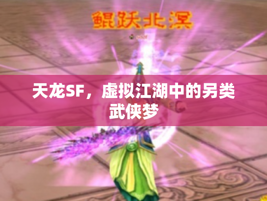 天龙SF，虚拟江湖中的另类武侠梦