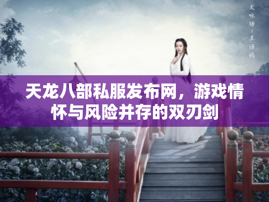 天龙八部私服发布网，游戏情怀与风险并存的双刃剑
