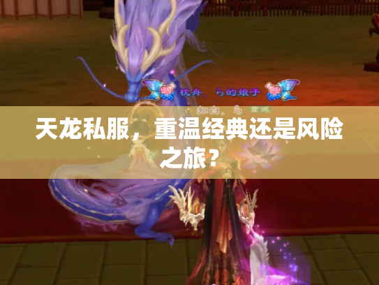 天龙私服，重温经典还是风险之旅？