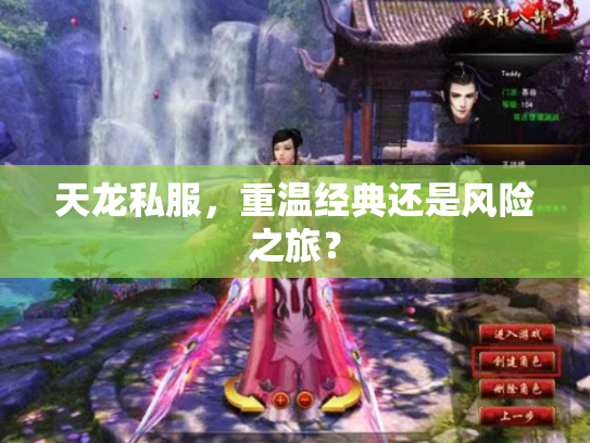 天龙私服，重温经典还是风险之旅？