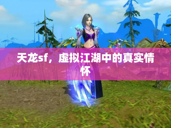 天龙sf，虚拟江湖中的真实情怀