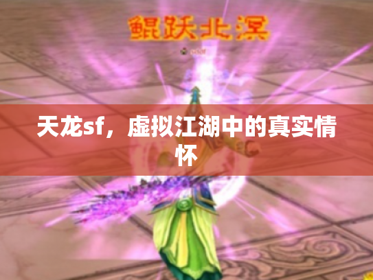 天龙sf，虚拟江湖中的真实情怀
