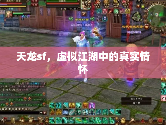 天龙sf，虚拟江湖中的真实情怀