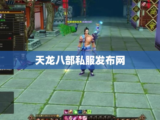 天龙八部私服发布网