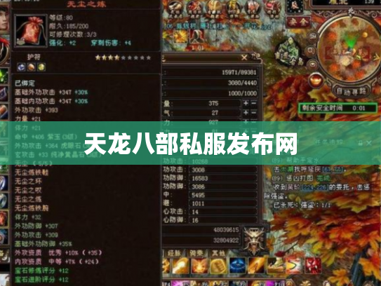 天龙八部私服发布网