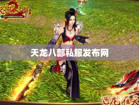 天龙八部私服发布网