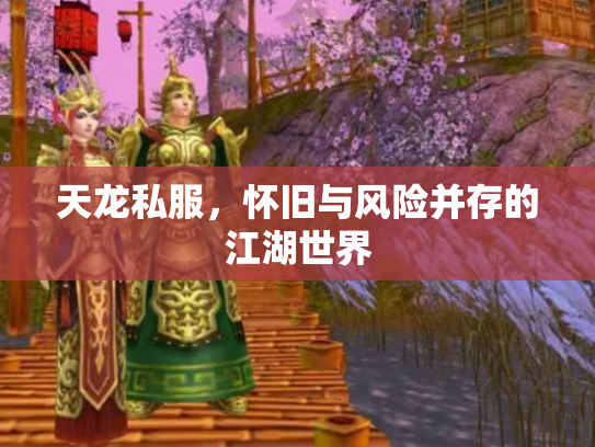 天龙私服，怀旧与风险并存的江湖世界
