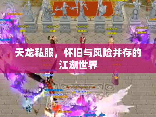 天龙私服，怀旧与风险并存的江湖世界
