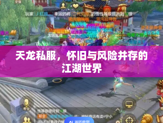天龙私服，怀旧与风险并存的江湖世界