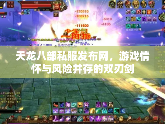 天龙八部私服发布网，游戏情怀与风险并存的双刃剑