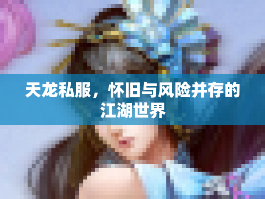 天龙私服，怀旧与风险并存的江湖世界