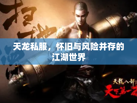 天龙私服，怀旧与风险并存的江湖世界