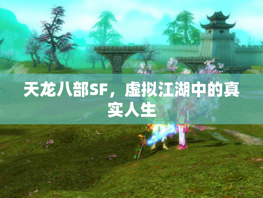 天龙八部SF，虚拟江湖中的真实人生