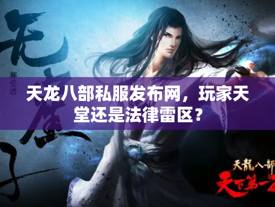 天龙八部私服发布网，玩家天堂还是法律雷区？