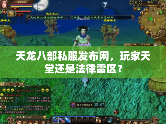 天龙八部私服发布网，玩家天堂还是法律雷区？