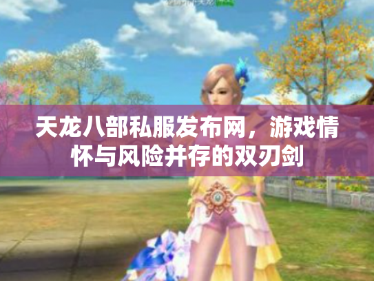 天龙八部私服发布网，游戏情怀与风险并存的双刃剑