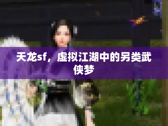 天龙sf，虚拟江湖中的另类武侠梦