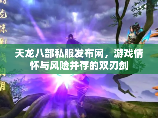 天龙八部私服发布网，游戏情怀与风险并存的双刃剑