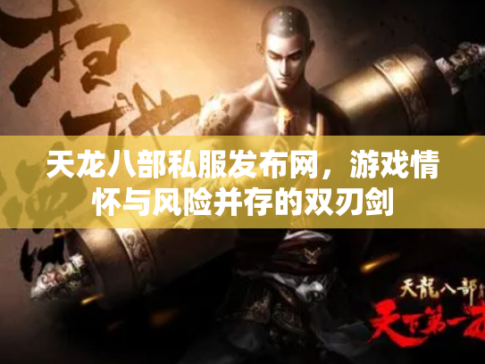 天龙八部私服发布网，游戏情怀与风险并存的双刃剑