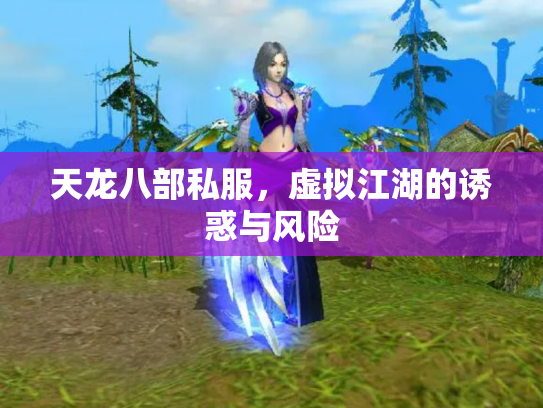 天龙八部私服，虚拟江湖的诱惑与风险