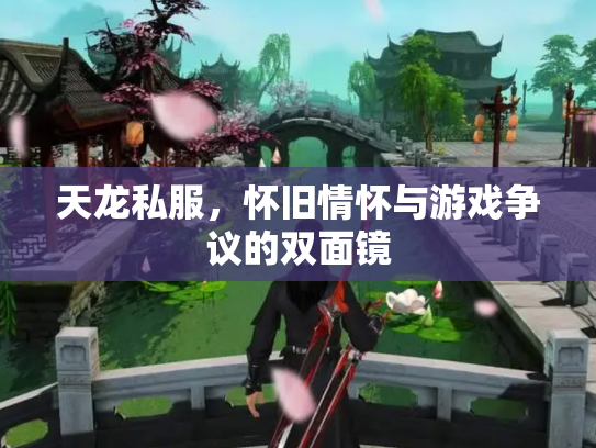天龙私服，怀旧情怀与游戏争议的双面镜