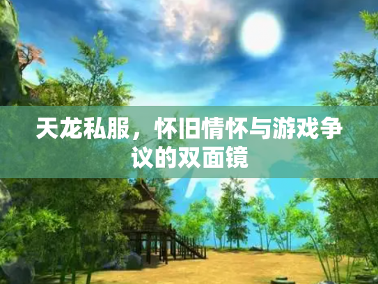 天龙私服，怀旧情怀与游戏争议的双面镜