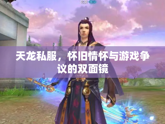天龙私服，怀旧情怀与游戏争议的双面镜