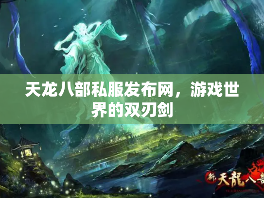 天龙八部私服发布网，游戏世界的双刃剑