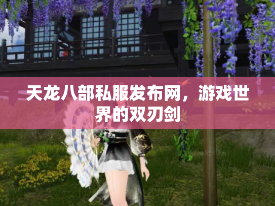 天龙八部私服发布网，游戏世界的双刃剑