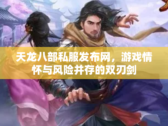 天龙八部私服发布网，游戏情怀与风险并存的双刃剑