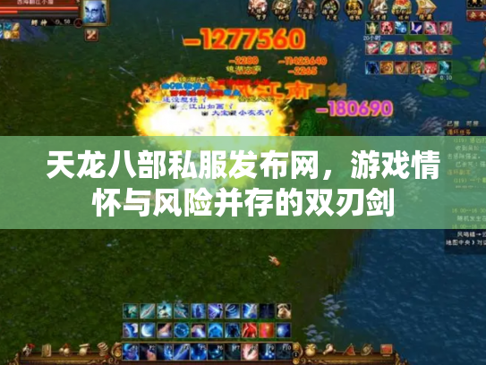 天龙八部私服发布网，游戏情怀与风险并存的双刃剑