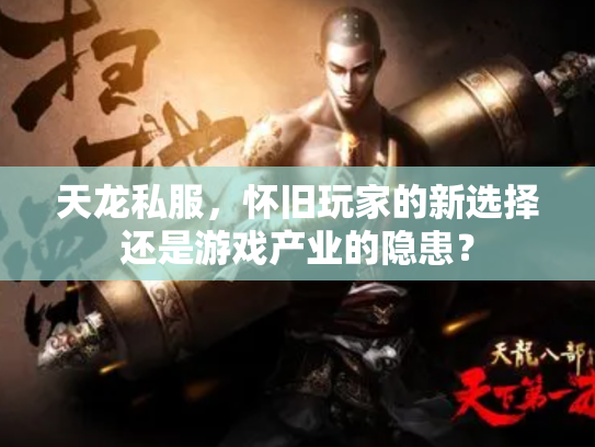 天龙私服，怀旧玩家的新选择还是游戏产业的隐患？