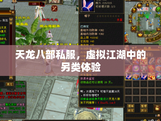 天龙八部私服，虚拟江湖中的另类体验
