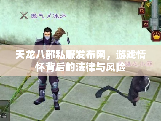 天龙八部私服发布网，游戏情怀背后的法律与风险