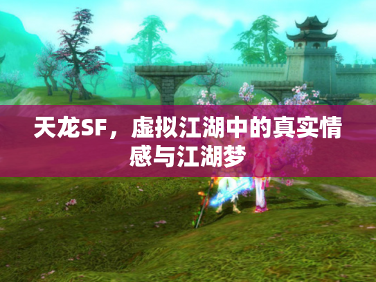 天龙SF，虚拟江湖中的真实情感与江湖梦