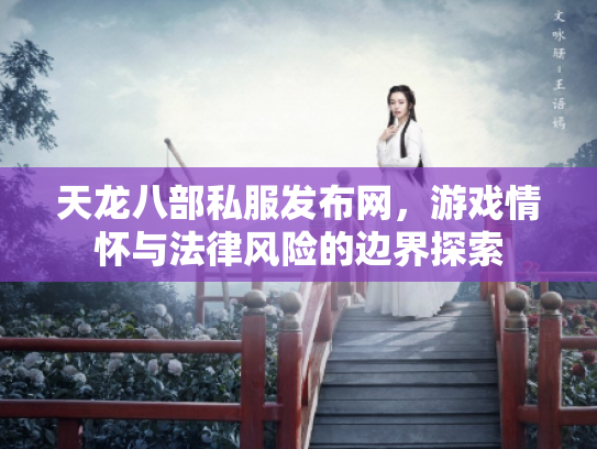 天龙八部私服发布网，游戏情怀与法律风险的边界探索