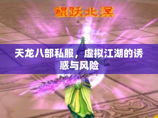 天龙八部私服，虚拟江湖的诱惑与风险